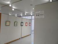 IMG_9782.JPG