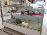 IMG_1067.JPG